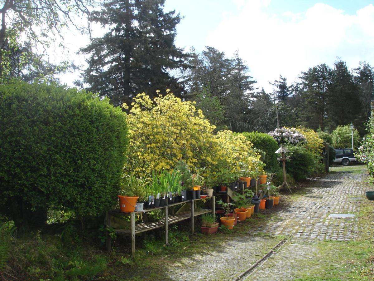 The Clochfaen Bed & Breakfast Llangurig Exterior photo