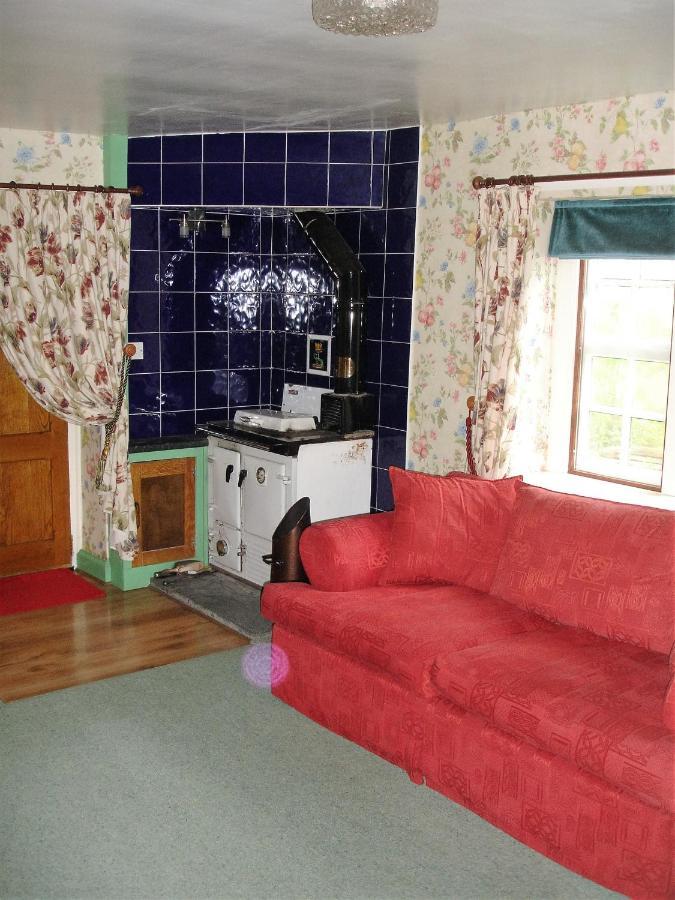 The Clochfaen Bed & Breakfast Llangurig Exterior photo