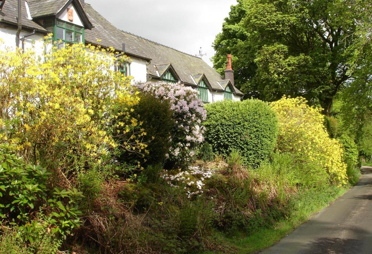 The Clochfaen Bed & Breakfast Llangurig Exterior photo